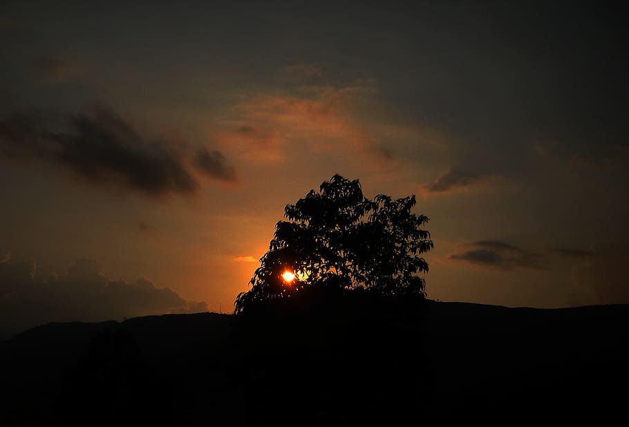 Tree, Sun, Nature, Hill, Sunset, Sky, clouds, glow, silhouette HD wallpaper