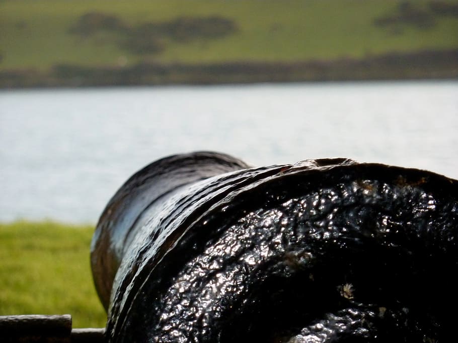 gun, outlook, historically, cornwall, st mawes, water, focus on foreground HD wallpaper