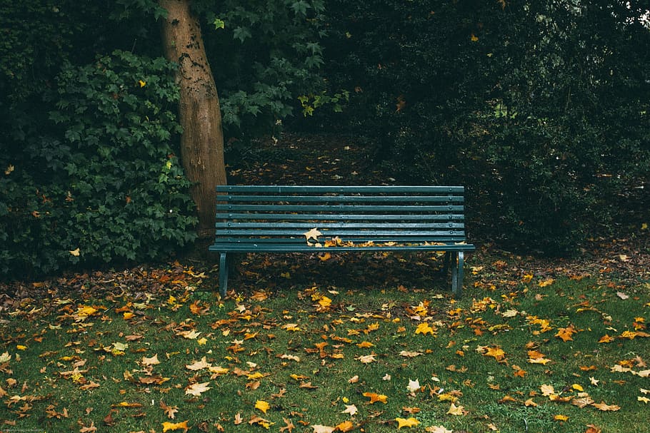 green bench beside tree during daytime, park, grass, trees HD wallpaper