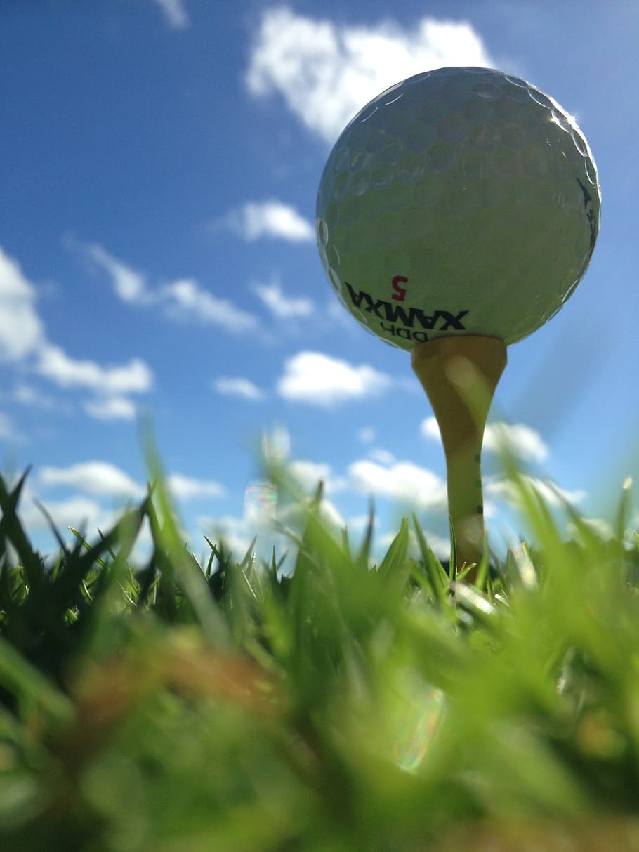 white golf ball surrounded by green grass, sky, game, plant HD wallpaper