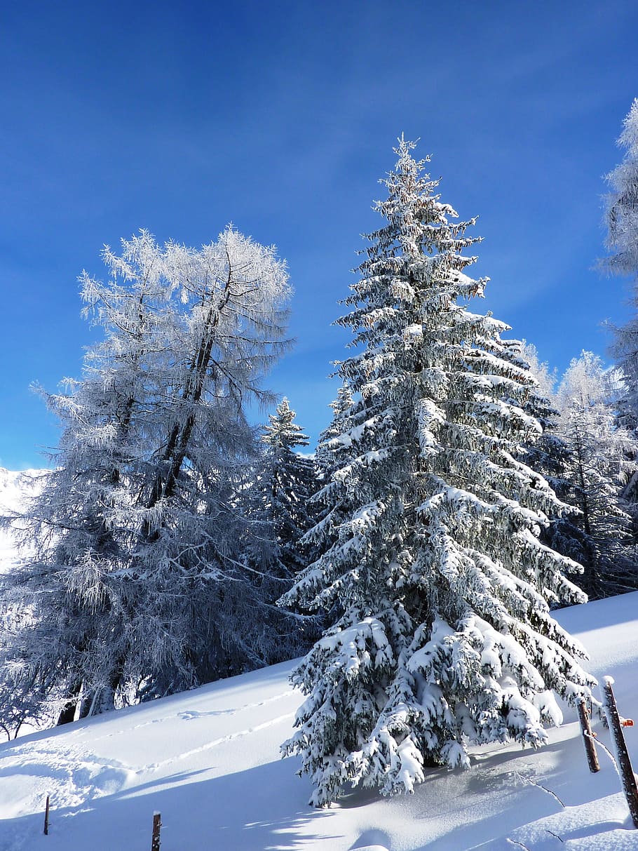 winter, snow, wintry, cold, landscape, snowy, winter cold, switzerland HD wallpaper