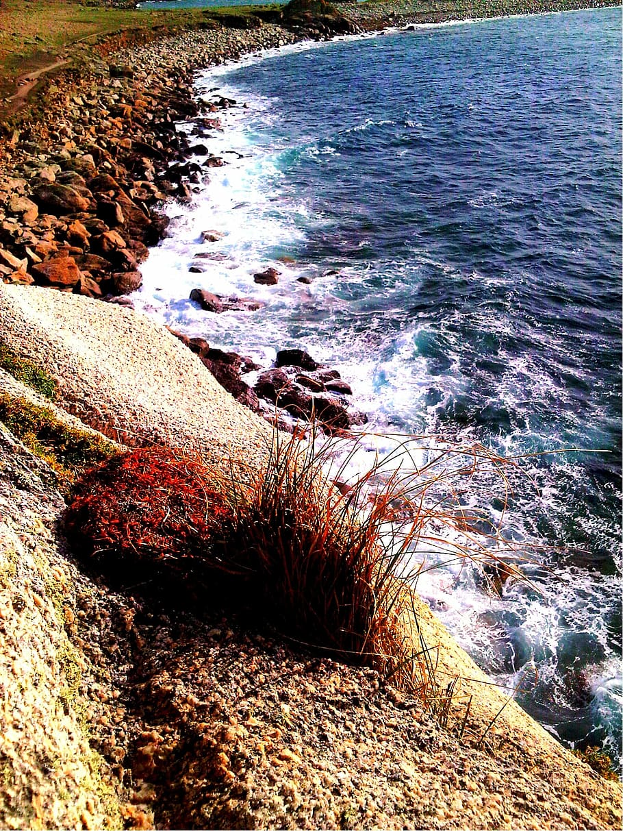 sea, side, shore, wild coast, brittany, ocean, water, waves, HD wallpaper