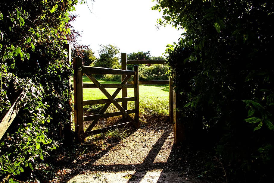 photo of brown wooden gate panel beside green leafed plants HD wallpaper