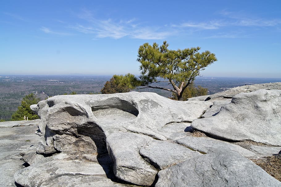 landscape photography of rock mountain, stone floor, tree, nature HD wallpaper