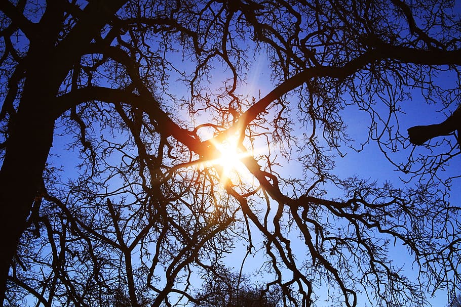Sunlight, Nature, sky, outdoor, sunny, bright, sunshine, landscape HD wallpaper