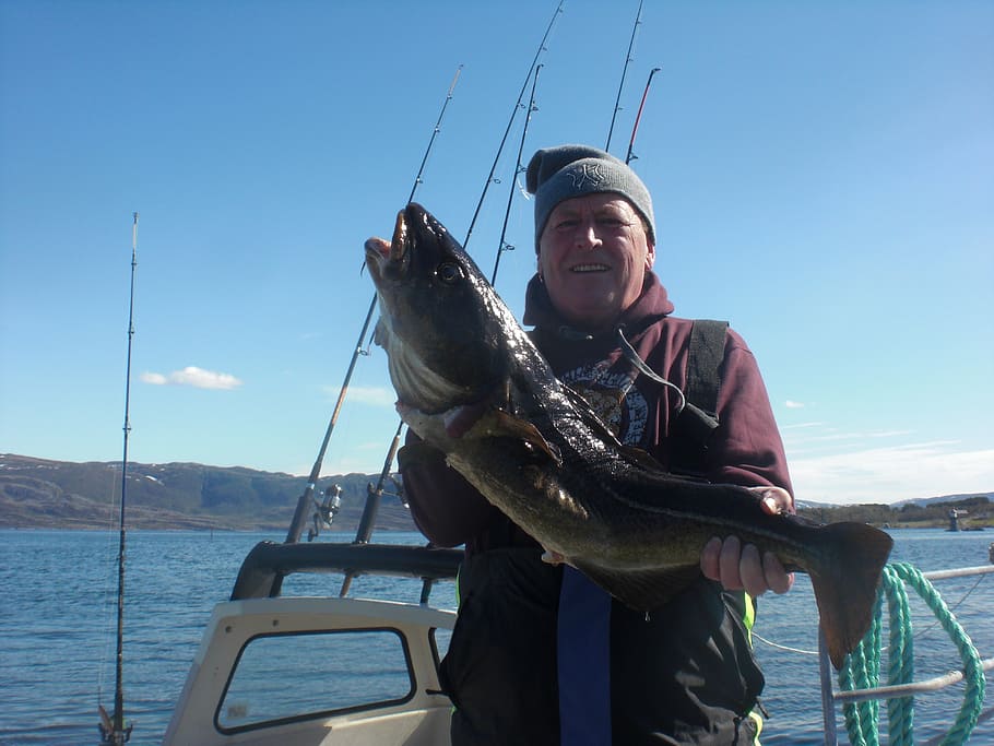 angler, fischer, cod, fish, fang, norway, water, nautical vessel HD wallpaper