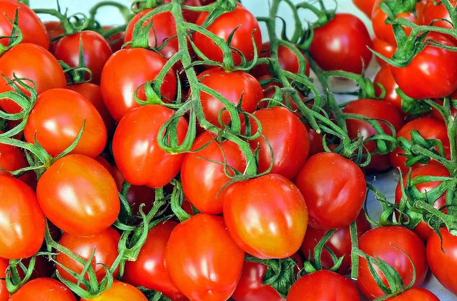 photo of bunch of red tomatoes, vegetables, mediterranean, vitamins HD wallpaper