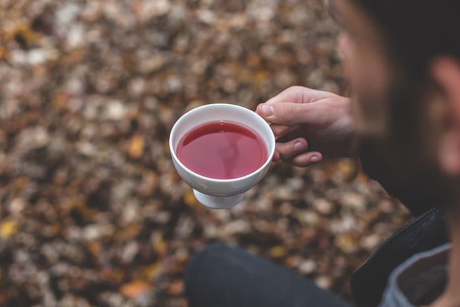 outdoor, leaf, fall, autumn, tea, drink, healthy, lifestyle HD wallpaper