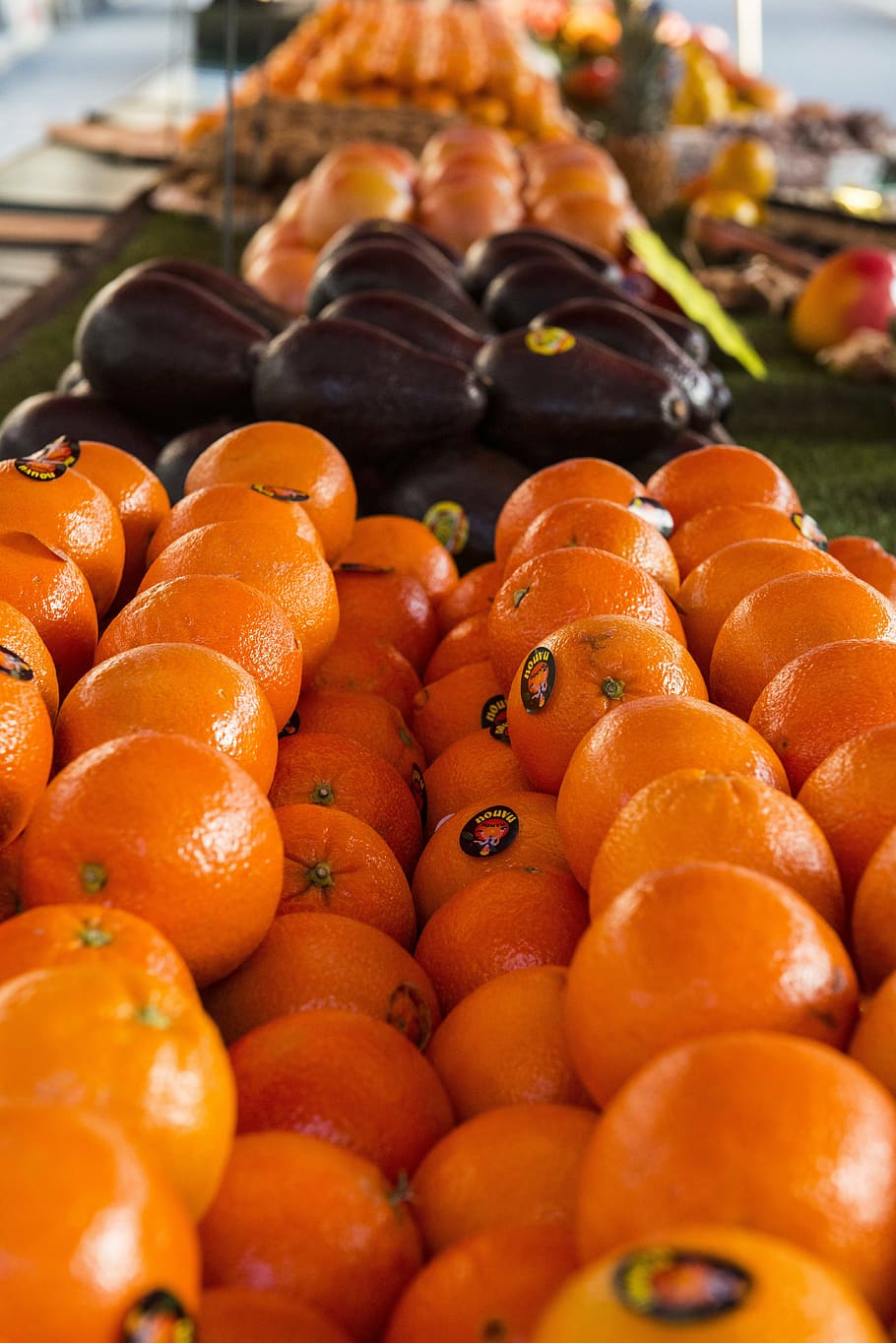 orange, fruit, sun, clementines, orange juice, fresh juice HD wallpaper