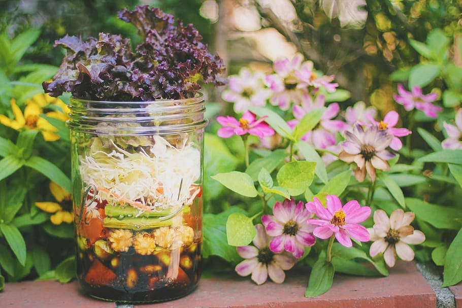 clear glass jar surrounded by purple, yellow and white petaled flowers HD wallpaper