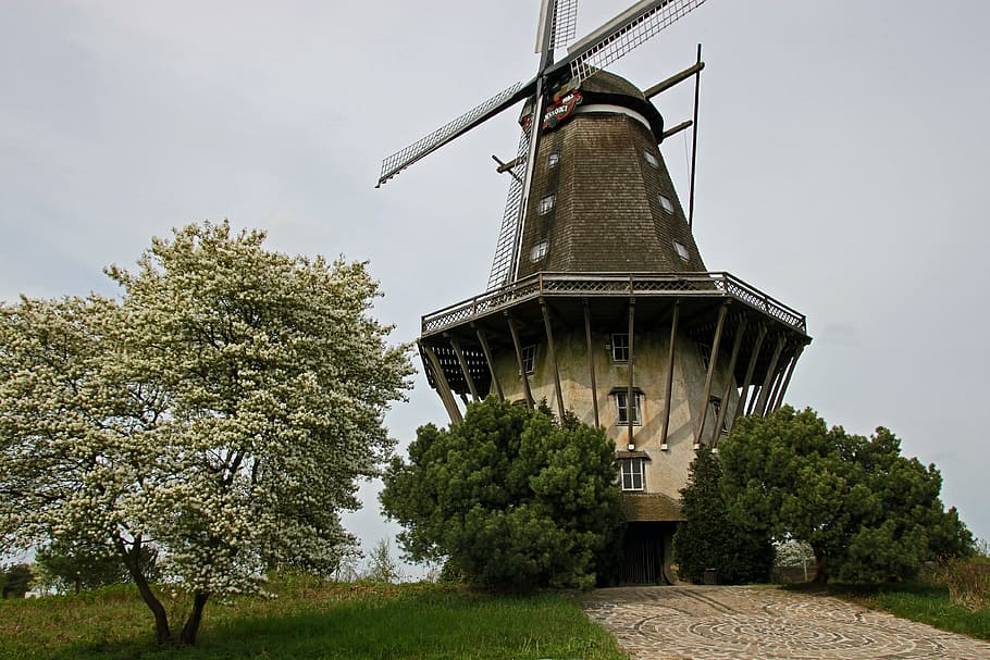 windmill, lower saxony, tree, plant, sky, architecture, nature HD wallpaper