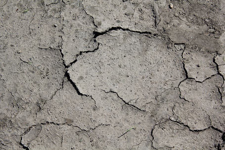 drought, wallpaper, surface, dry, earth, soil, dried up, gray HD wallpaper