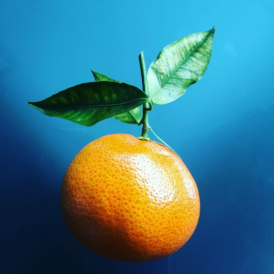 Vitamin C, orange fruit, food, food and drink, healthy eating HD wallpaper