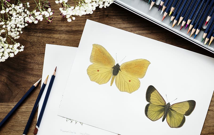 two yellow butterfly painting beside pencils, paper, desktop