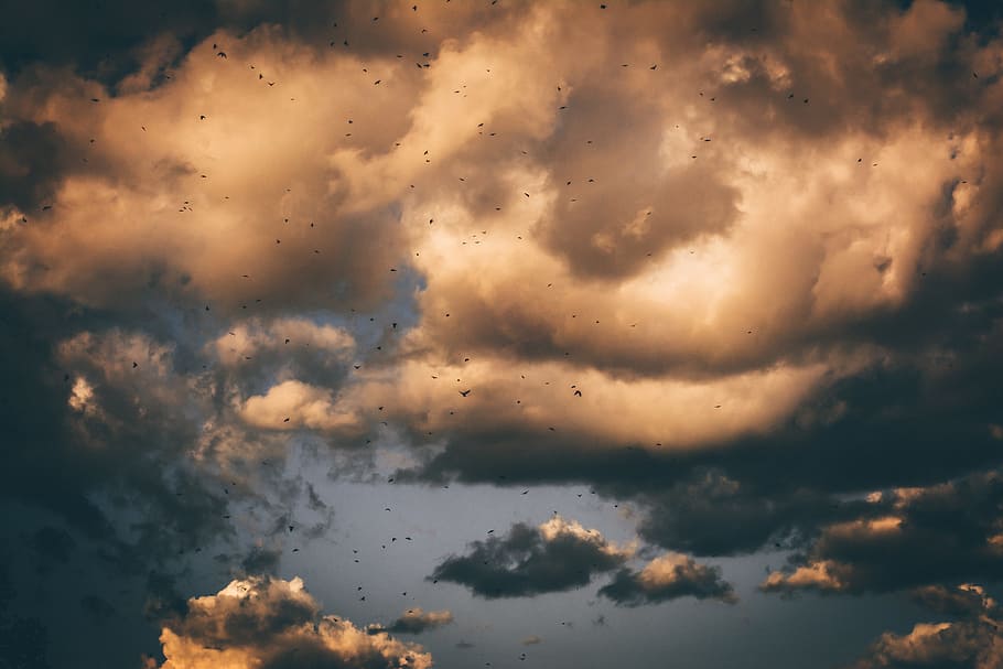 dark, sky, clouds, birds, flying, cloud - sky, no people, nature HD wallpaper