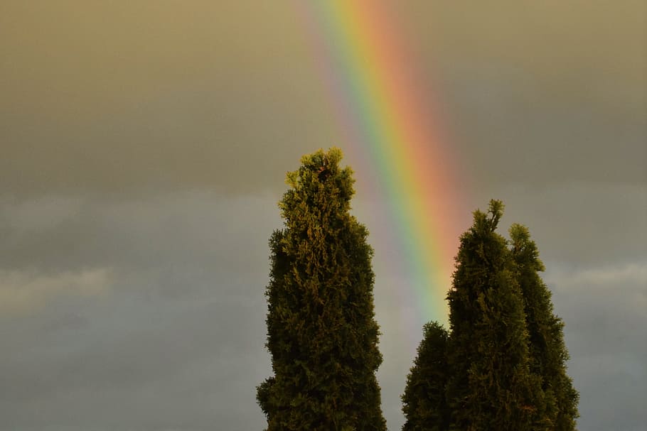 Rainbow, Light, Mood, Atmospheric, Color, abendstimmung, landscape HD wallpaper