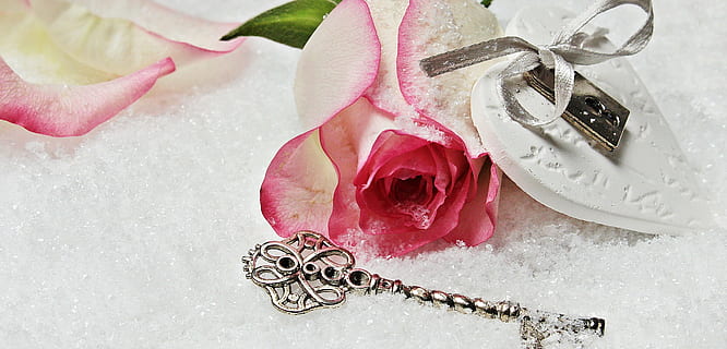 pink rose and silver key in snow, heart, herzchen, love, romance HD wallpaper