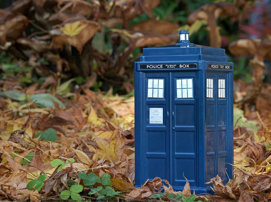 blue Police box, tardis, dr who, doctor who, undergrowth, leaves