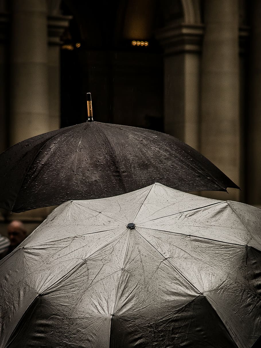 two gray and black umbrellas, water, drops, raining, outside HD wallpaper