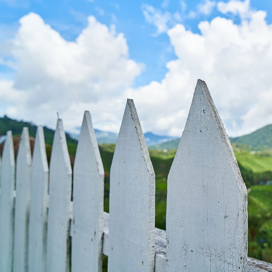 macro shot of white wooden fence, mountain, nature, taylor HD wallpaper