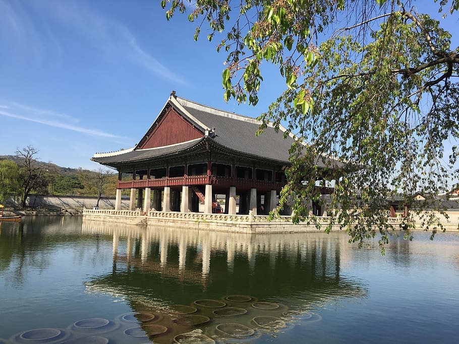 gyeongbok palace, republic of korea, forbidden city, korea culture, HD wallpaper