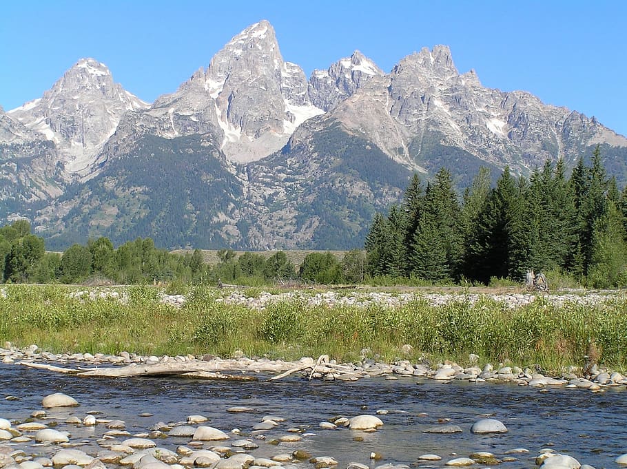 blue body of water in front of trees and mountain, Snake River, HD wallpaper