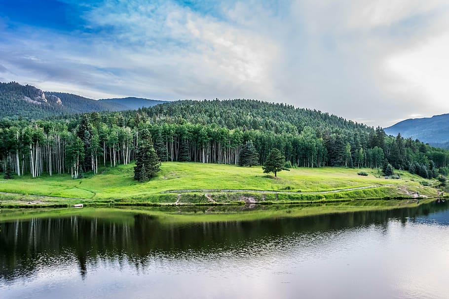 green leafed tree lot near body of water, clouds, colorado HD wallpaper