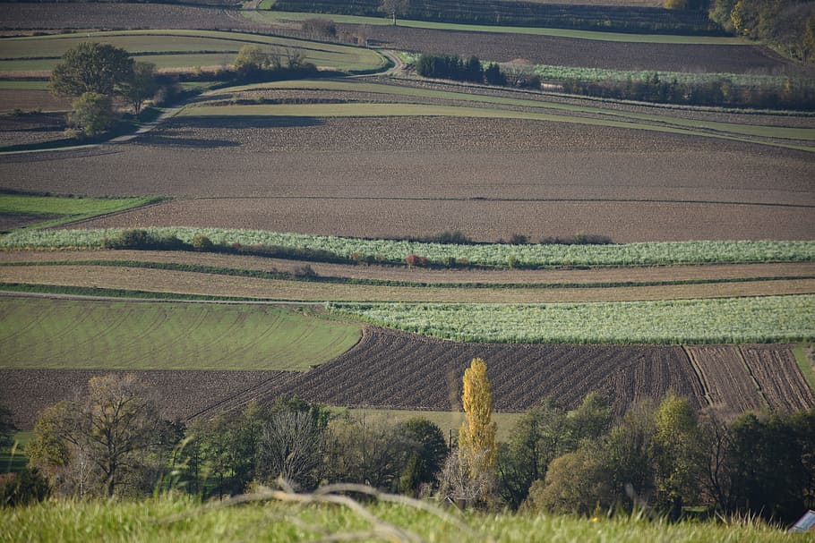 agriculture, wide, landscape, environment, rural scene, field HD wallpaper