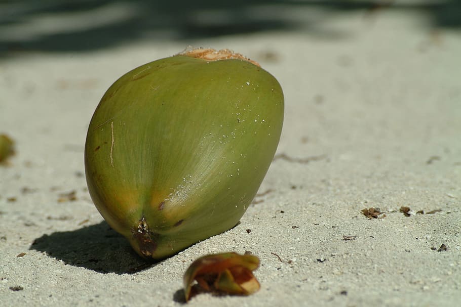 coconut on gray sand, maldives, food, food and drink, fruit HD wallpaper