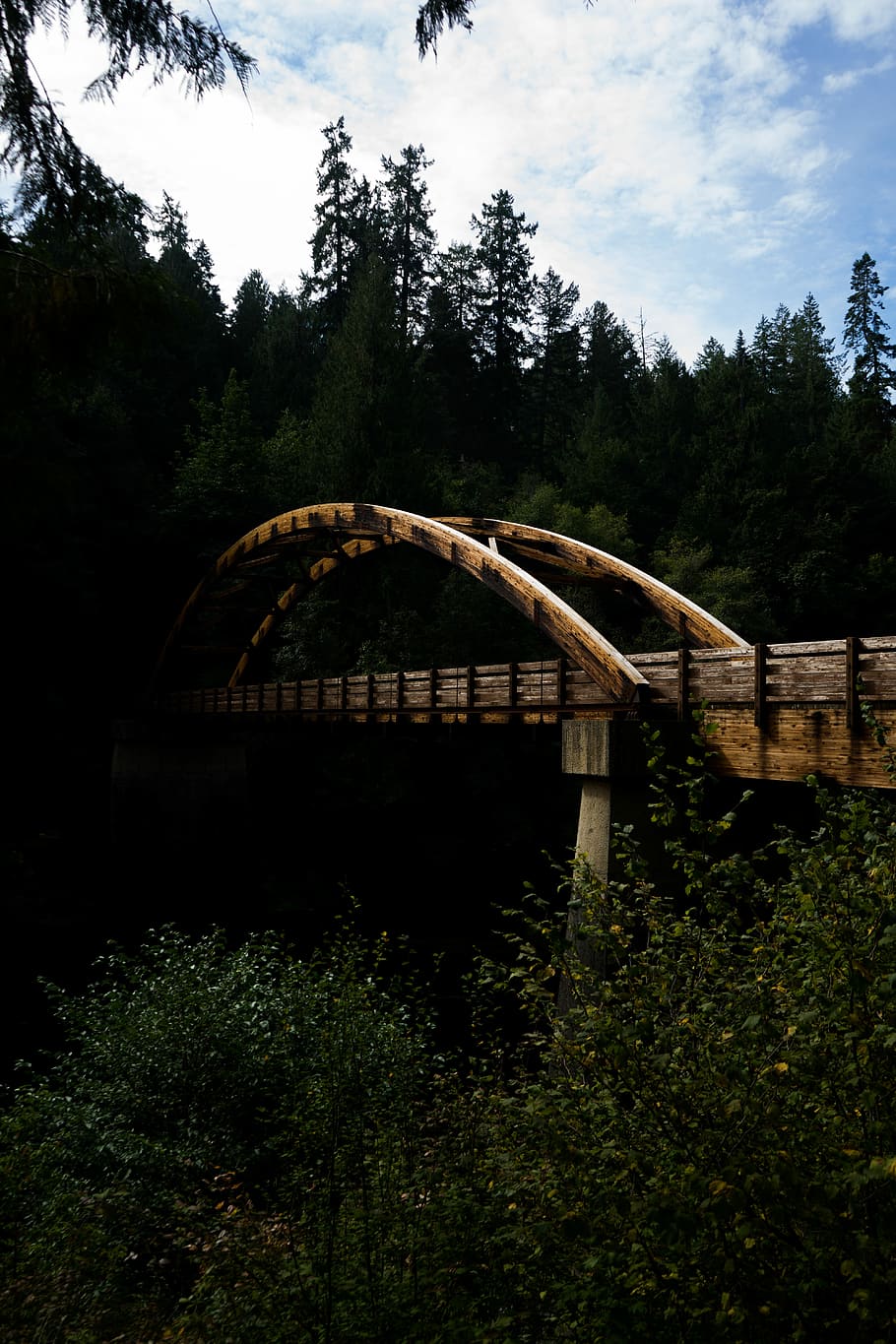 brown wooden bridge near green plants, wooden arch bridge surrounded with trees HD wallpaper
