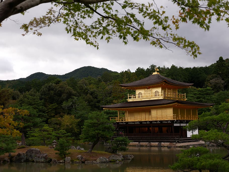 japan, temple, section, tree, plant, architecture, built structure HD wallpaper