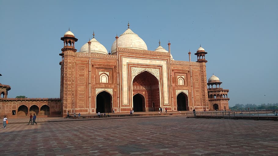 taj, mahal, mosque, red, white stone, work, tourist, muslim HD wallpaper