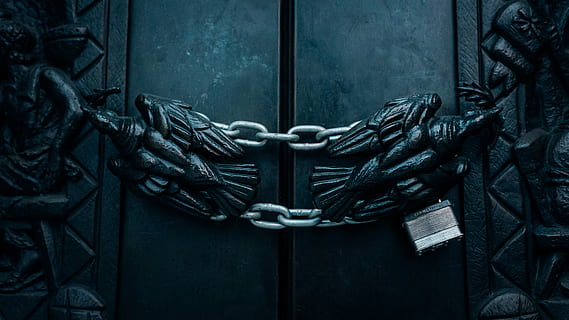 bald eagle door chain lock, gray metal chain and padlock, locked HD wallpaper