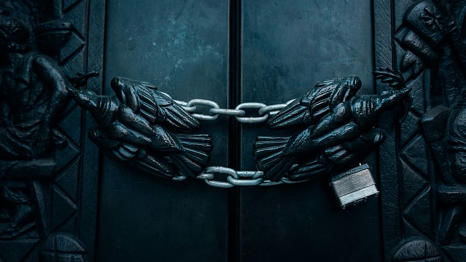bald eagle door chain lock, gray metal chain and padlock, locked HD wallpaper