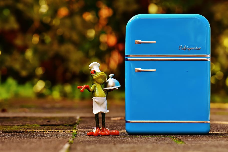 green chef frog figurine beside the blue refrigerator toy, cooking HD wallpaper