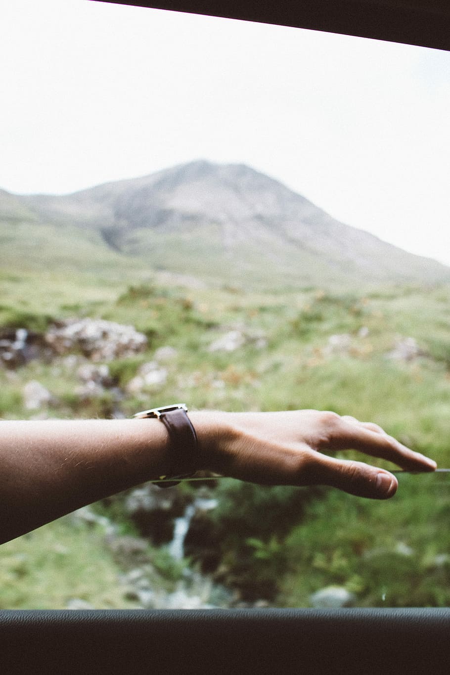 selective focus photography of left human hand background with forest, person wearing round gray watch HD wallpaper