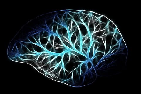 NeuroUX How Neuroscience Can Shape UserCentered Design  by AI Alex   Aug 2023  Bootcamp