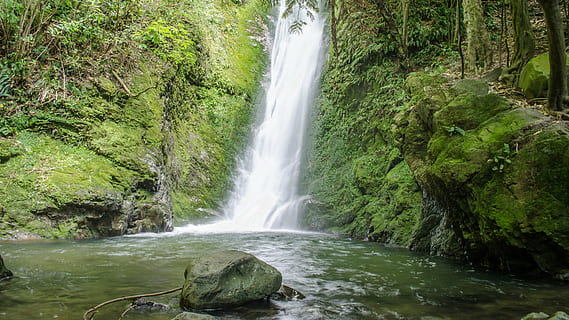 photo of falls in between rock formation covered of moss, waterfall HD wallpaper