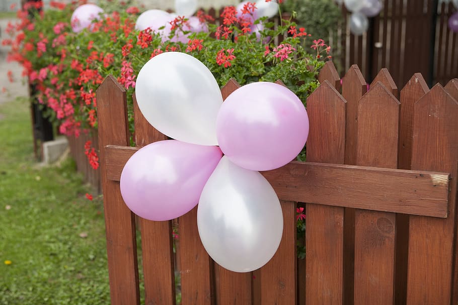 white and pink balloons decor, wedding, ornament, wood - material HD wallpaper