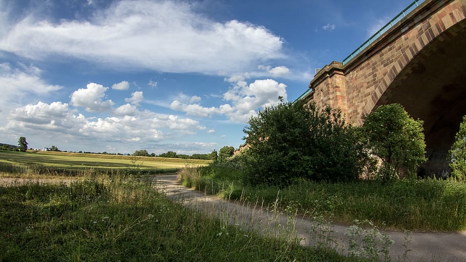 clouds, field, bridge, landscape, summer sky, cornfield, plant HD wallpaper