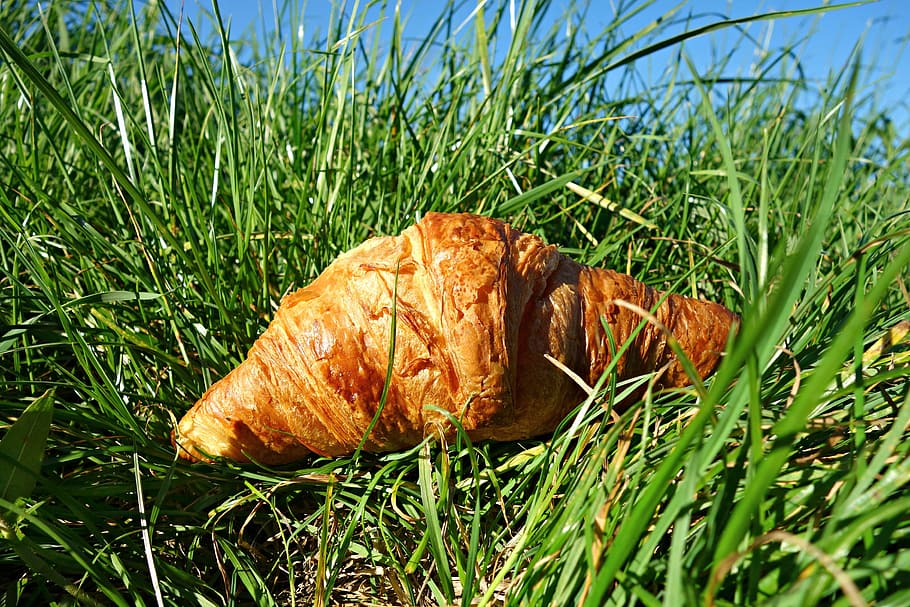 croissant, roll, bread, pastry, food, nutrition, breakfast HD wallpaper