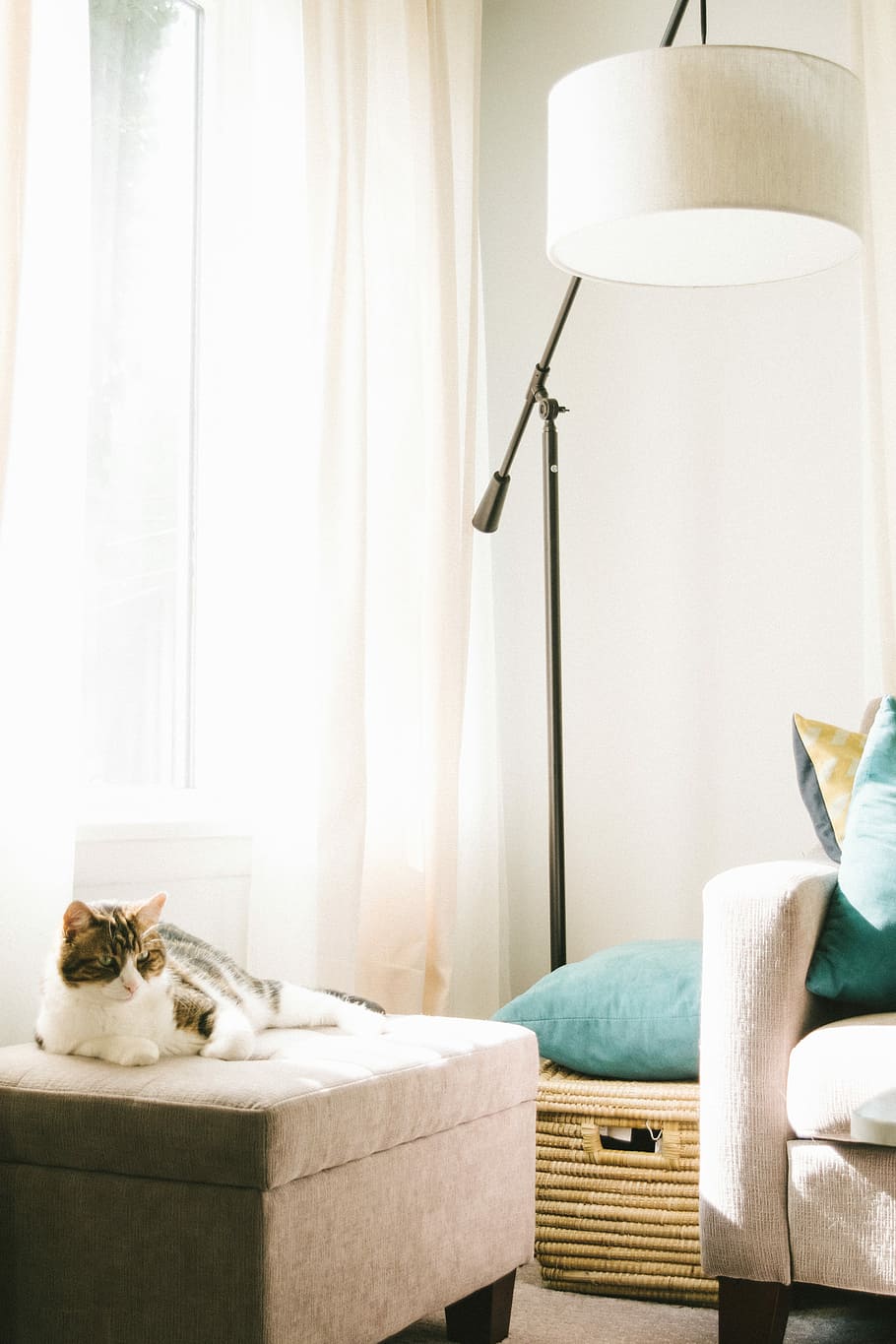 gray and white cat lying on brown ottoman near sofa, clothes hamper and floor lamp inside well-lighted room, calico cat on gray ottoman beside floor lamp