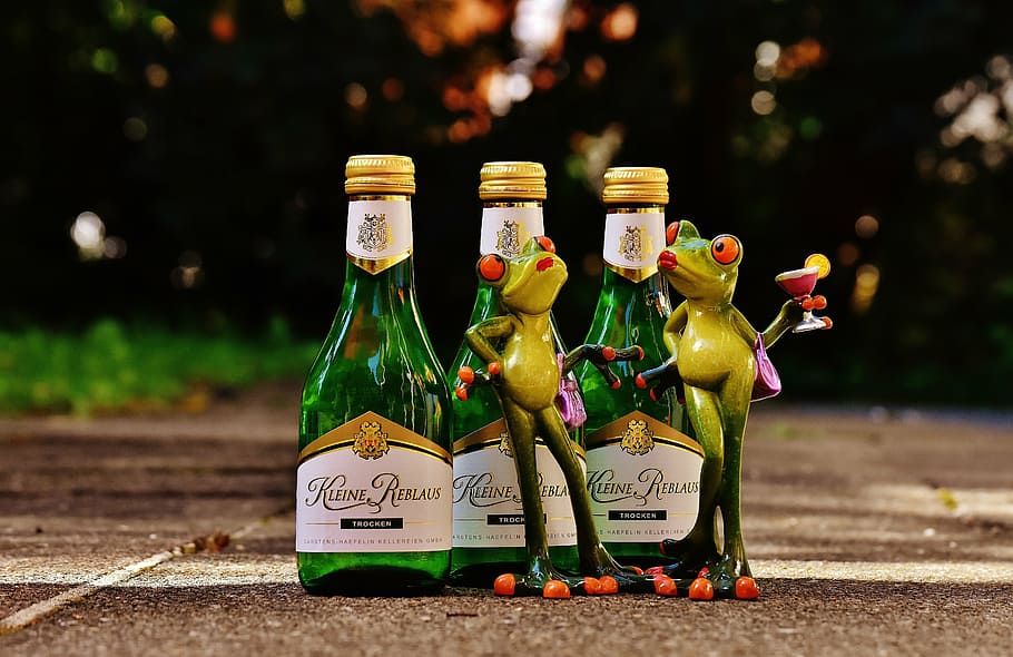 frogs, wine, drink, restaurant, weinstube, alcohol, figure HD wallpaper
