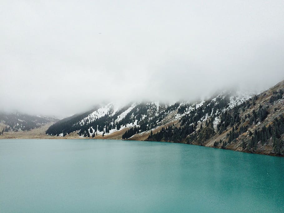 fog, lake, lakeside, mist, mountain, trees, water, scenics - nature HD wallpaper
