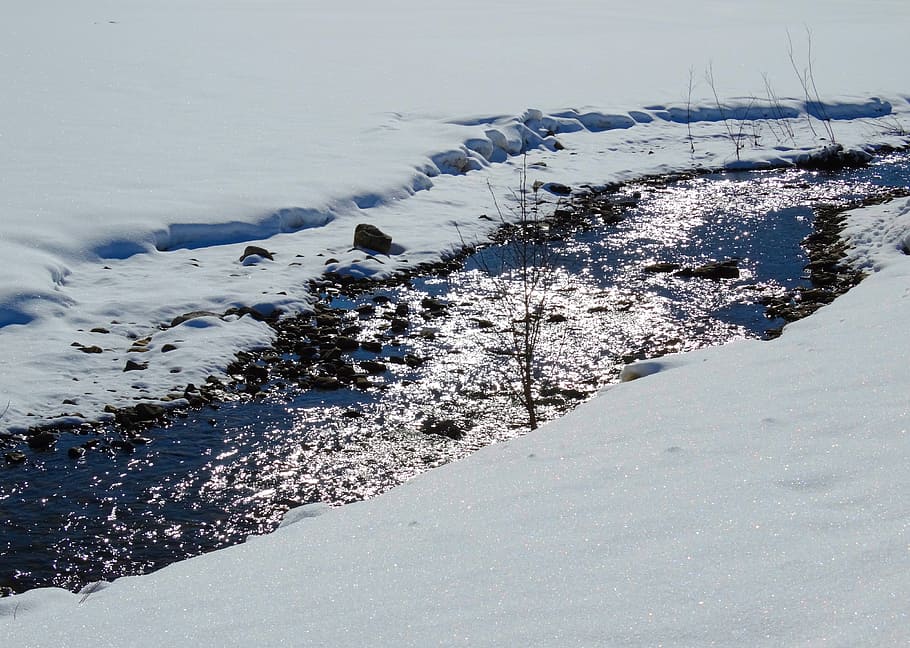 River, Bach, Water, Mirroring, Winter, landscape, snow, snowy HD wallpaper