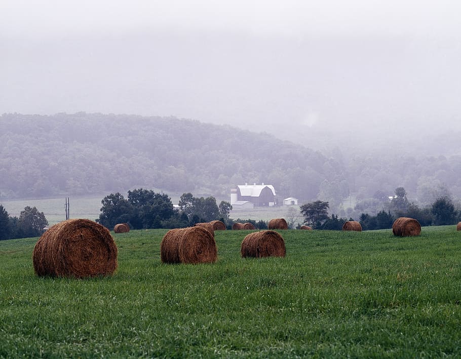 mist, shenandoah valley, rural, hay, bales, virginia, agriculture, HD wallpaper