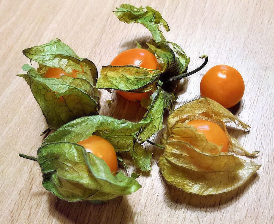 ripe tomatoes, physalis, cape gooseberry, bladder cherry, exotic fruits, HD wallpaper
