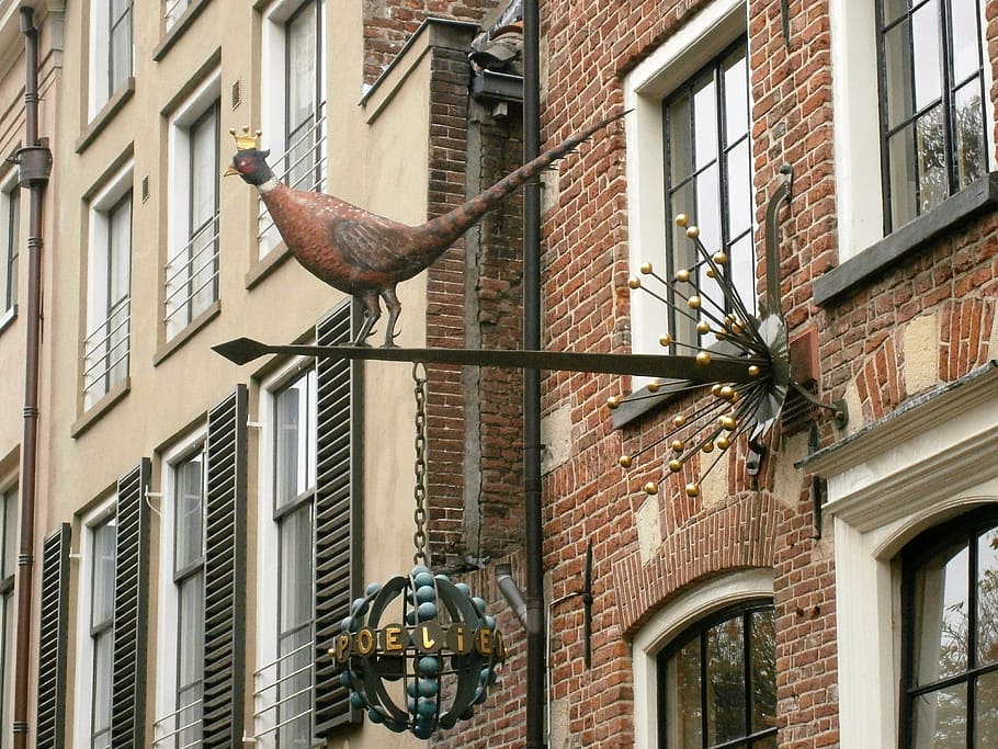 shield, pheasant, facade, deventer, netherlands, architecture HD wallpaper