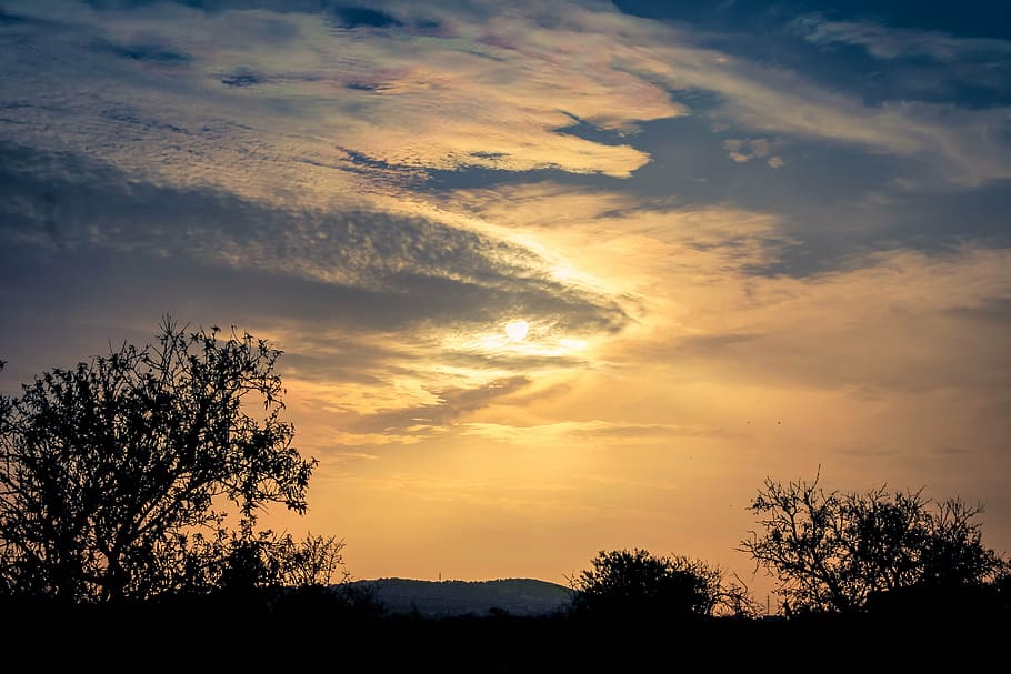 sunset, trees, sky, clouds, landscape, mallorca, sea, silhouette HD wallpaper