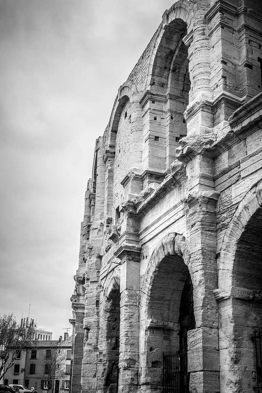 collosseum, romans, acting, games, tigers, lion, rome, france HD wallpaper